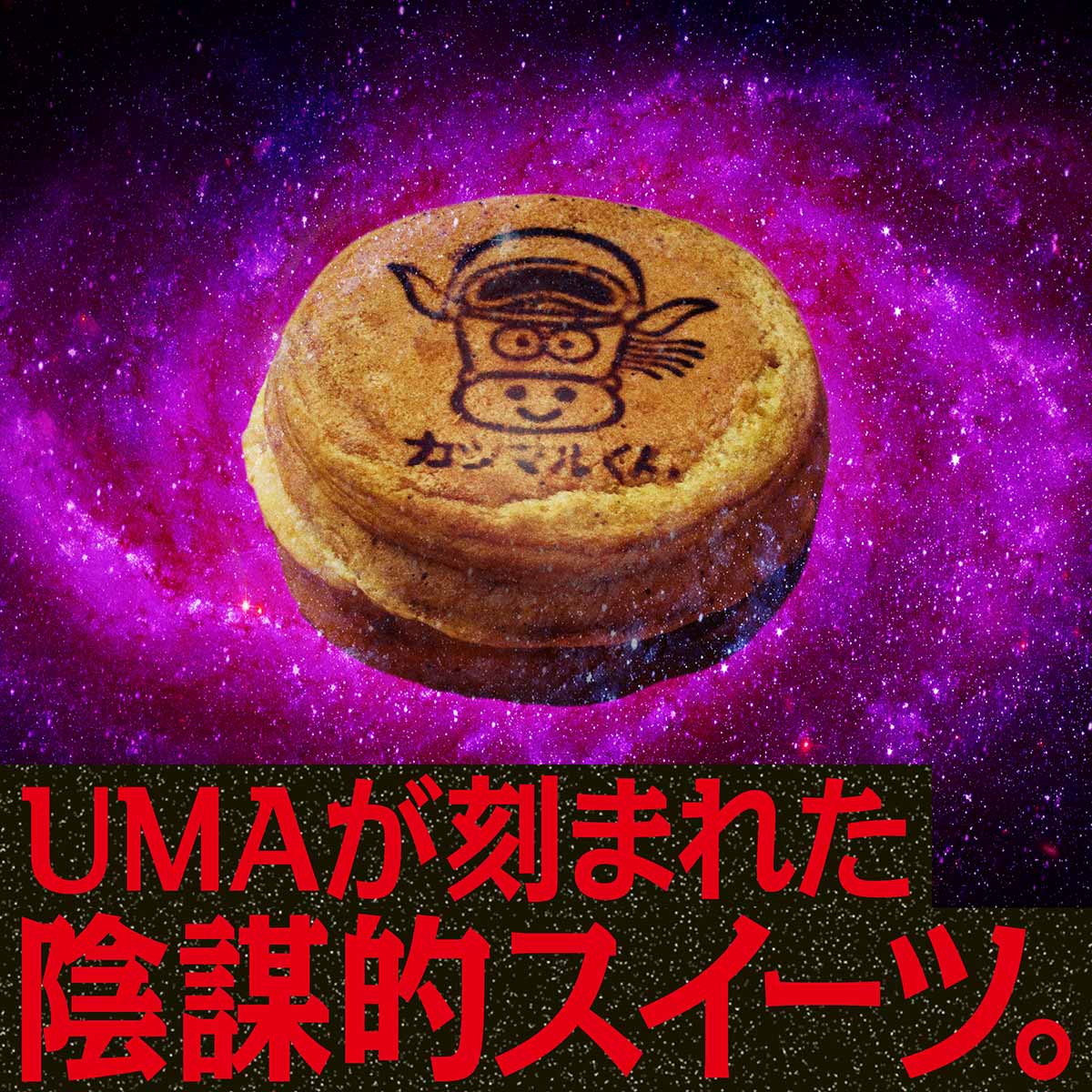 UMAが刻まれた陰謀的スイーツ。