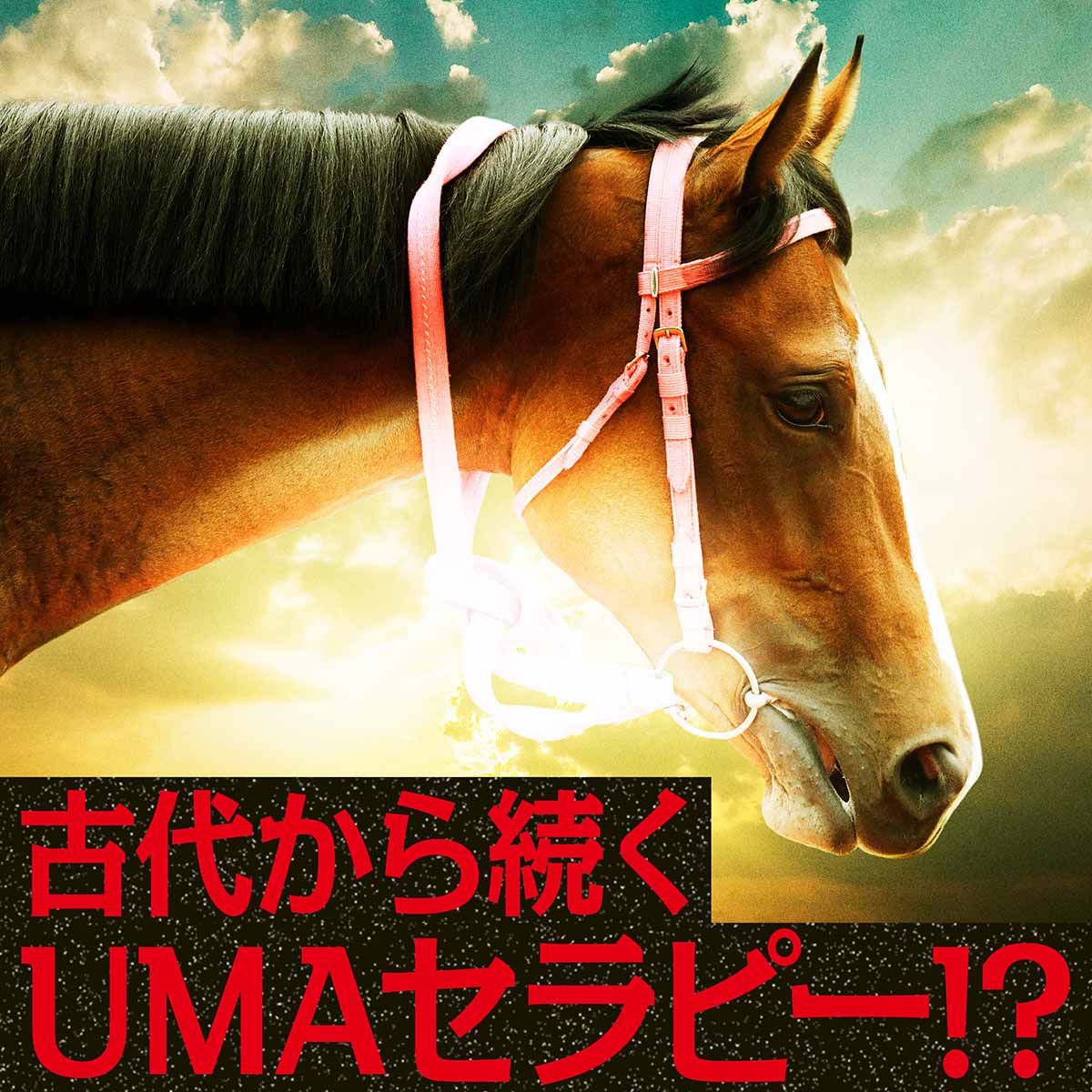 古代から続くUMAセラピー!?